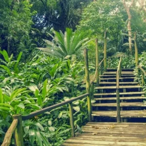 nadi sightseeing tour