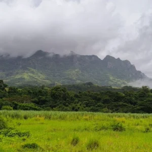 Nadi Half Day Sightseeing Tour