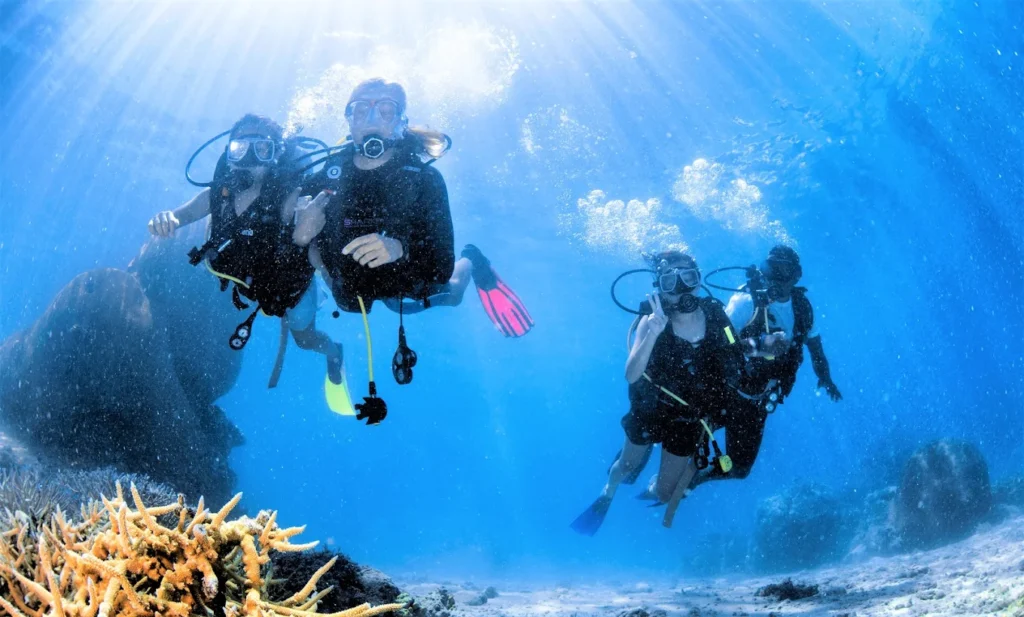 best fiji adventure tours