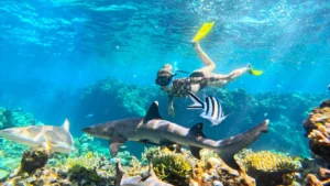 explore our fiji tours