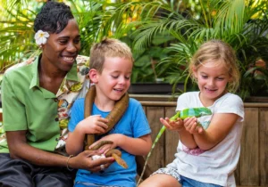 fiji day tours