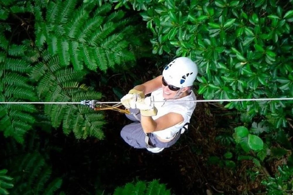 fiji zipline