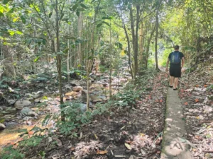 hiking to fiji rainforest waterfall